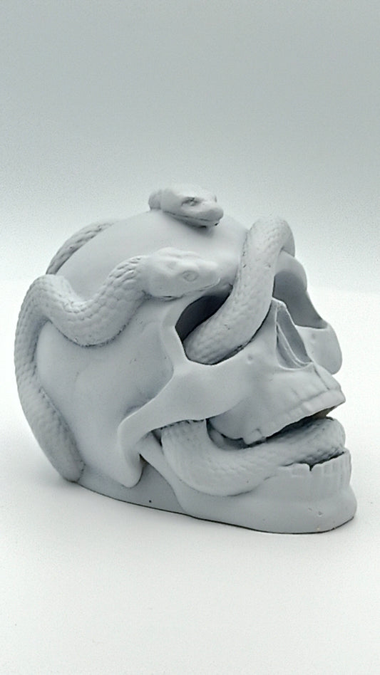 Skull of Rah'kan