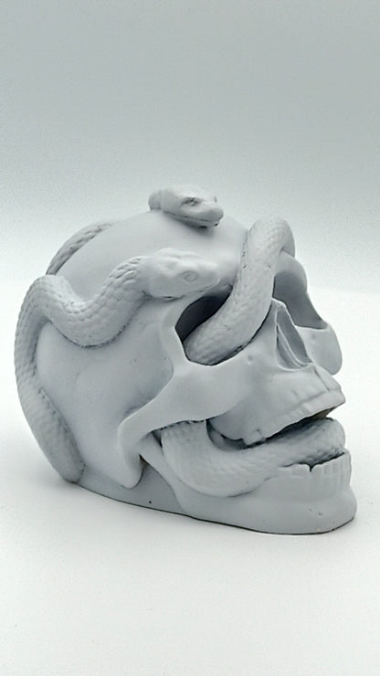 Skull of Rah'kan